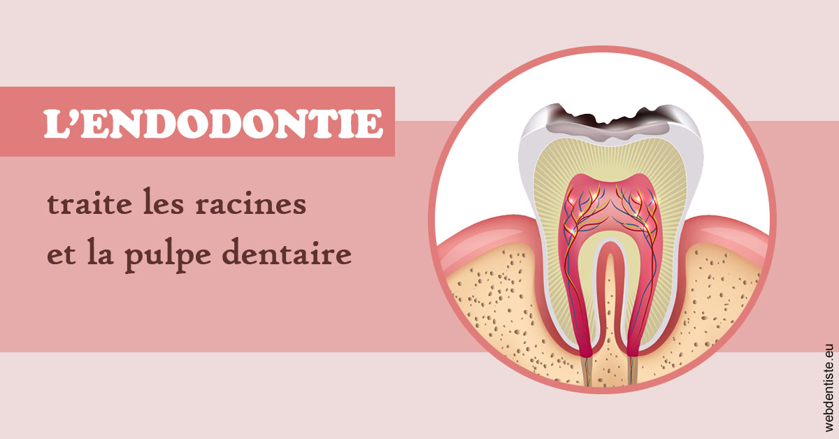 https://dr-benjamin-lascar.chirurgiens-dentistes.fr/L'endodontie 2